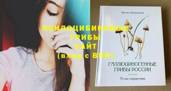 индика Зерноград