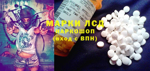 индика Зерноград