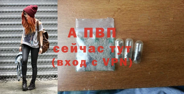 индика Зерноград