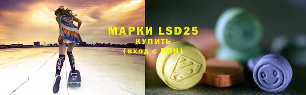 ГАЛЛЮЦИНОГЕННЫЕ ГРИБЫ Иннополис