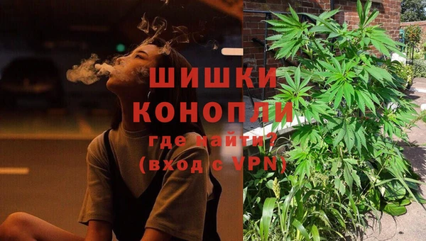 индика Зерноград