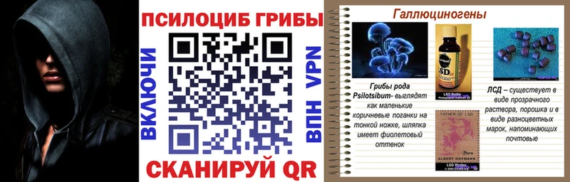 Галлюциногенные грибы мухоморы  Купить где  Калтан 